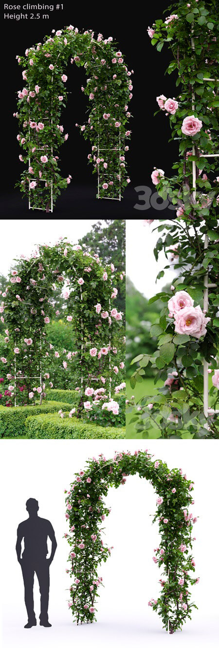 缠绕在拱门上的开满粉色花朵的玫瑰丛3D模型（FBX,MAX）