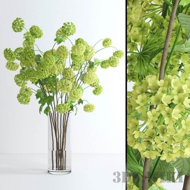 玻璃花瓶中的绿色绣球花3D模型（FBX,MAX）
