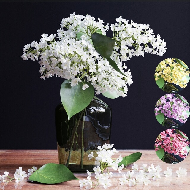 玻璃花瓶中的白色花束3D模型（OBJ,FBX,MAX）