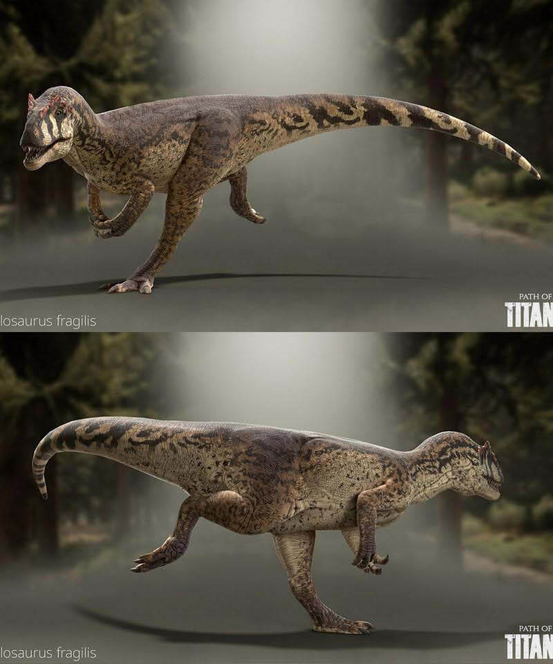 Allosaurus fragilis异特龙3D模型（OBJ,FBX,MAX）