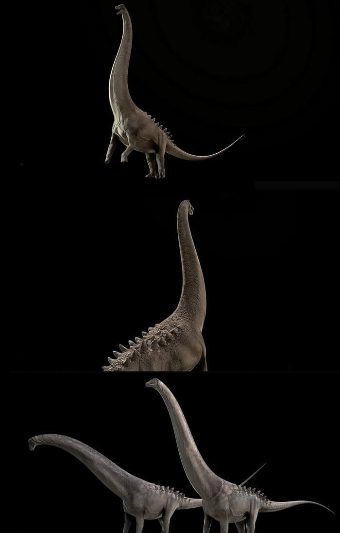 Argentinosaurus huinculensis阿根廷龙3D模型（OBJ,FBX,MAX）