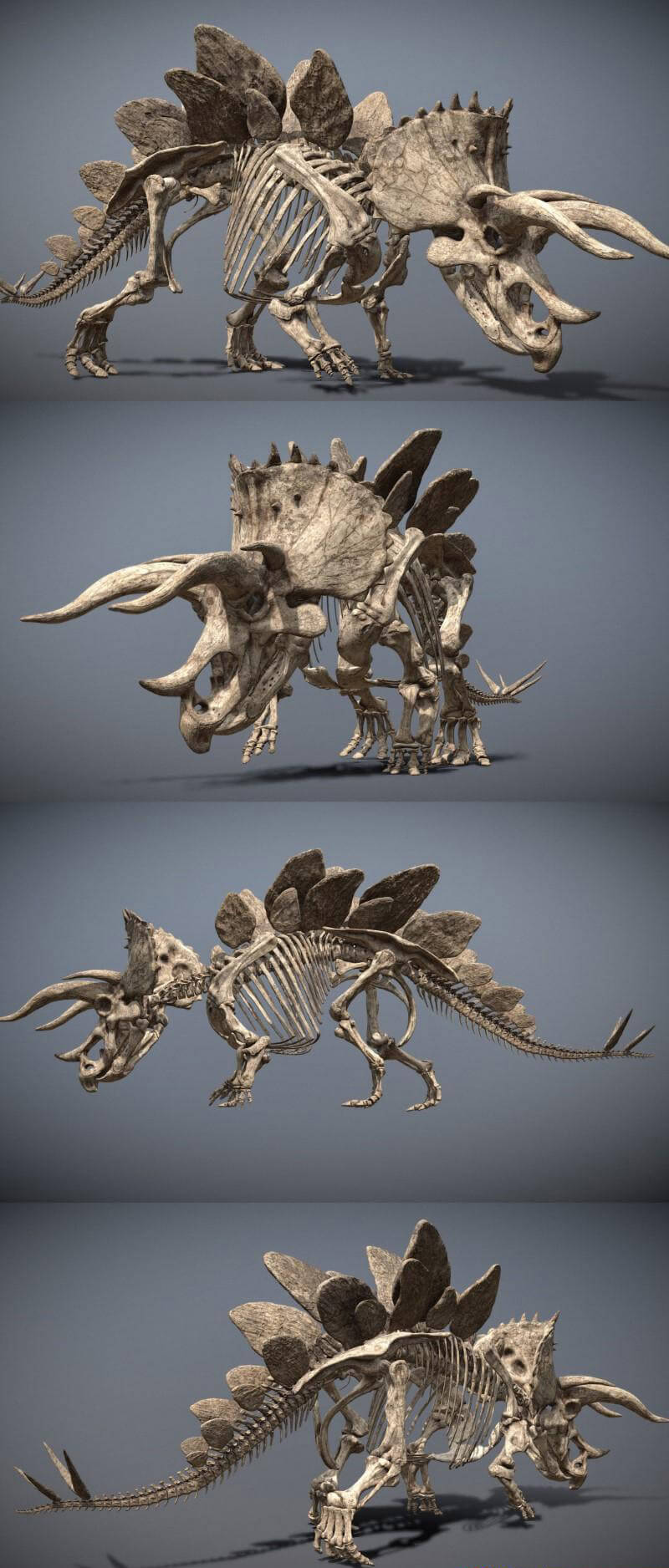 剑角龙骨架3D模型（OBJ,FBX）
