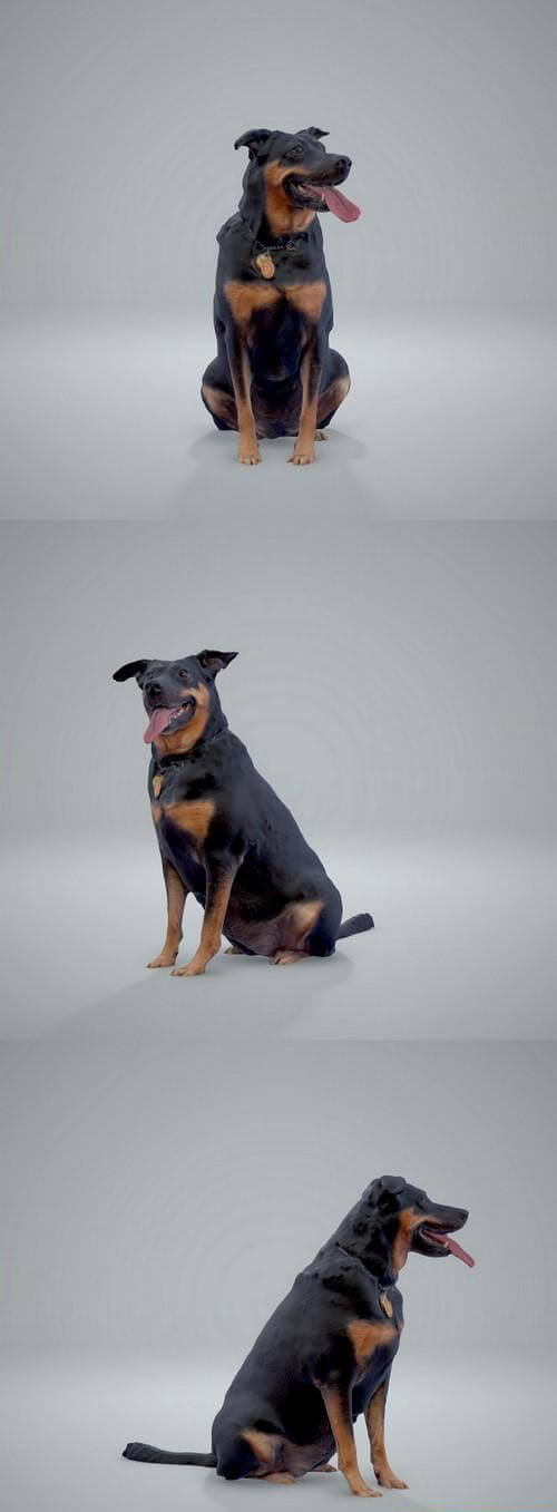狗3D模型（OBJ,MAX）