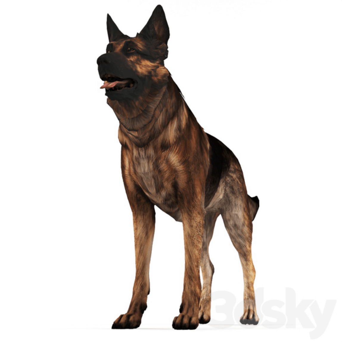 德国牧羊犬3D模型（FBX,MAX）