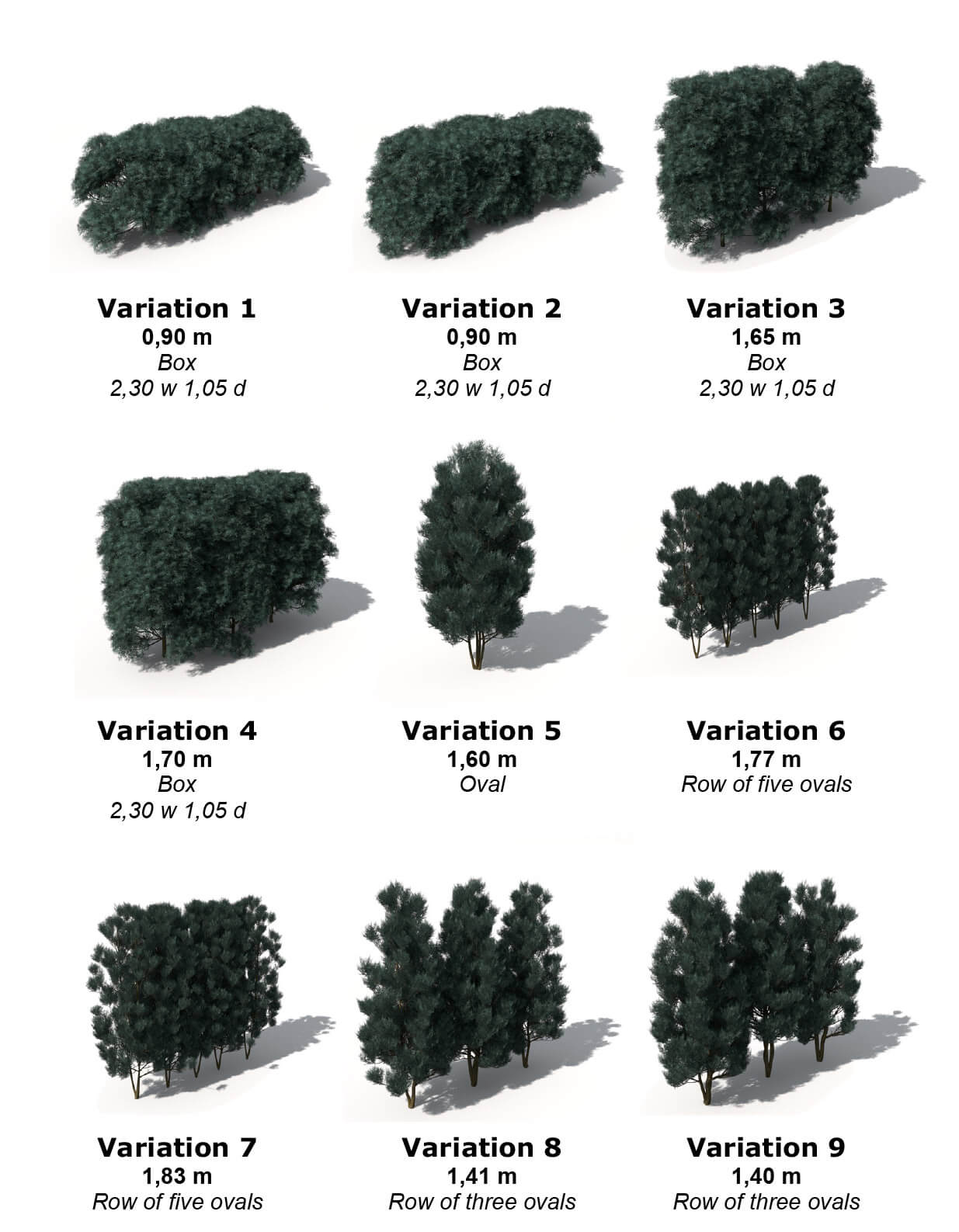 Chamaecyparis allumii多种形态日本扁柏花园绿植3D模型（OBJ）