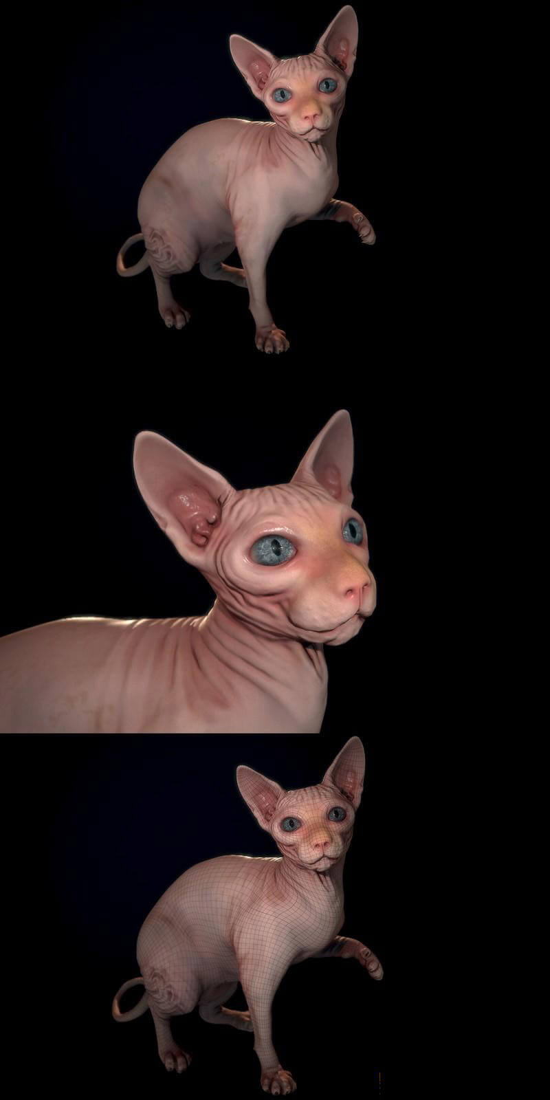 斯芬克斯猫3D模型（OBJ,FBX,MAX）