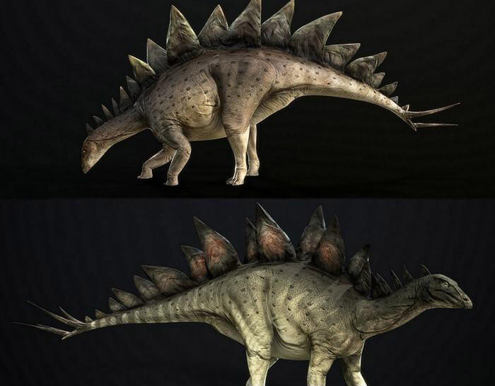 Stegosaurus stenops剑龙3D模型（OBJ,FBX,MAX）