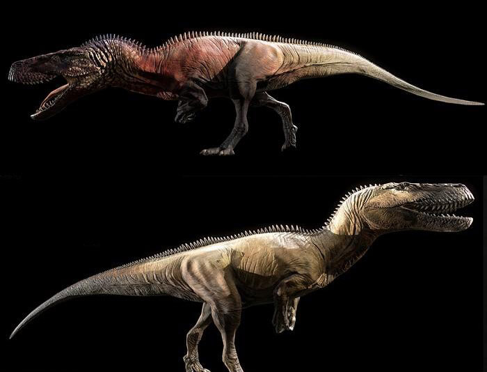 Torvosaurus tanneri谭氏蛮龙3D模型（OBJ,FBX,MAX）