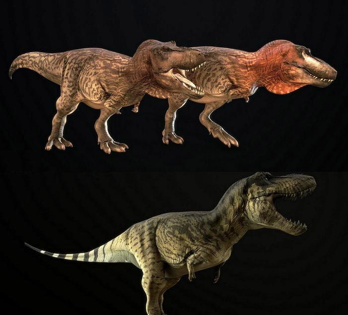 Tyrannosaurus rex霸王龙3D模型（OBJ,FBX,MAX）