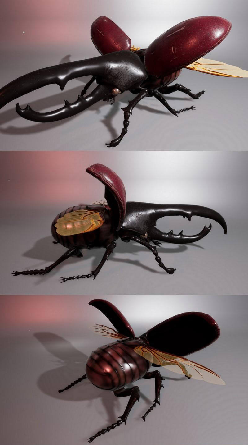 红色犀金龟3D模型（OBJ,FBX,MAX）