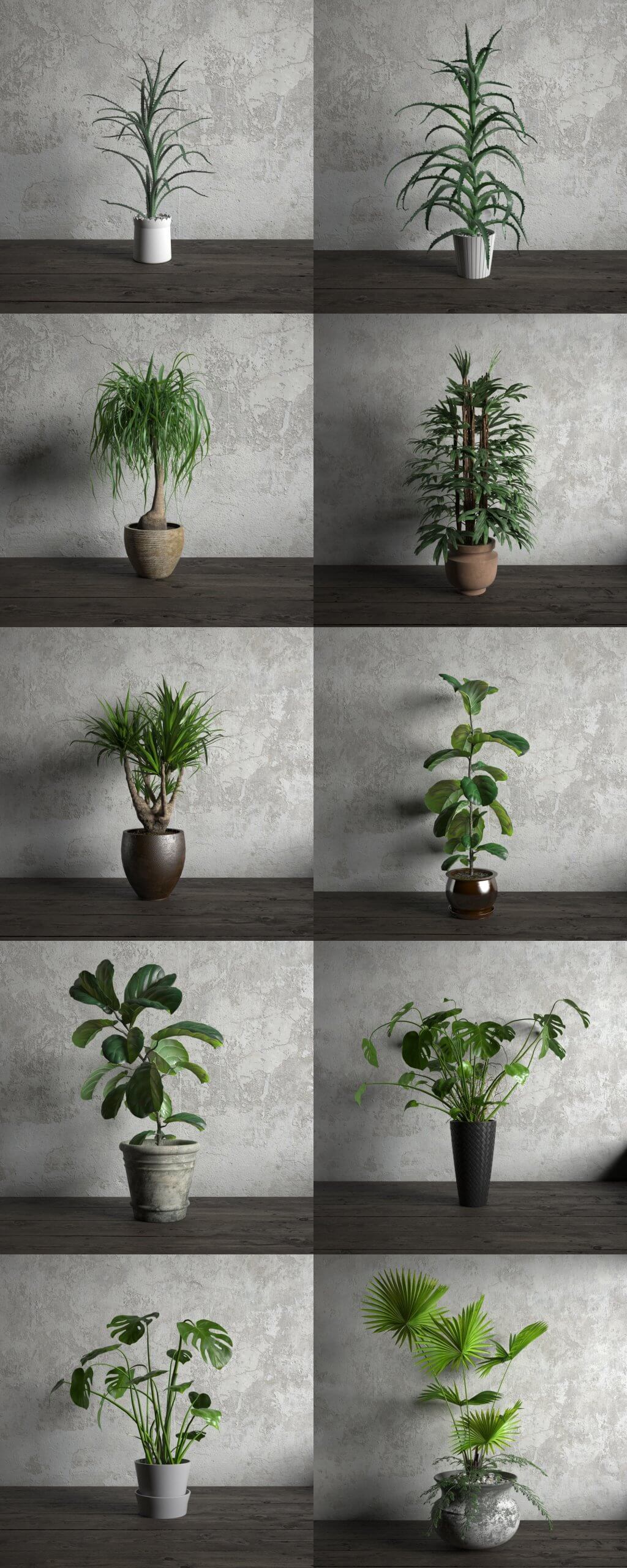10种绿植盆景3D模型合集（MAX）
