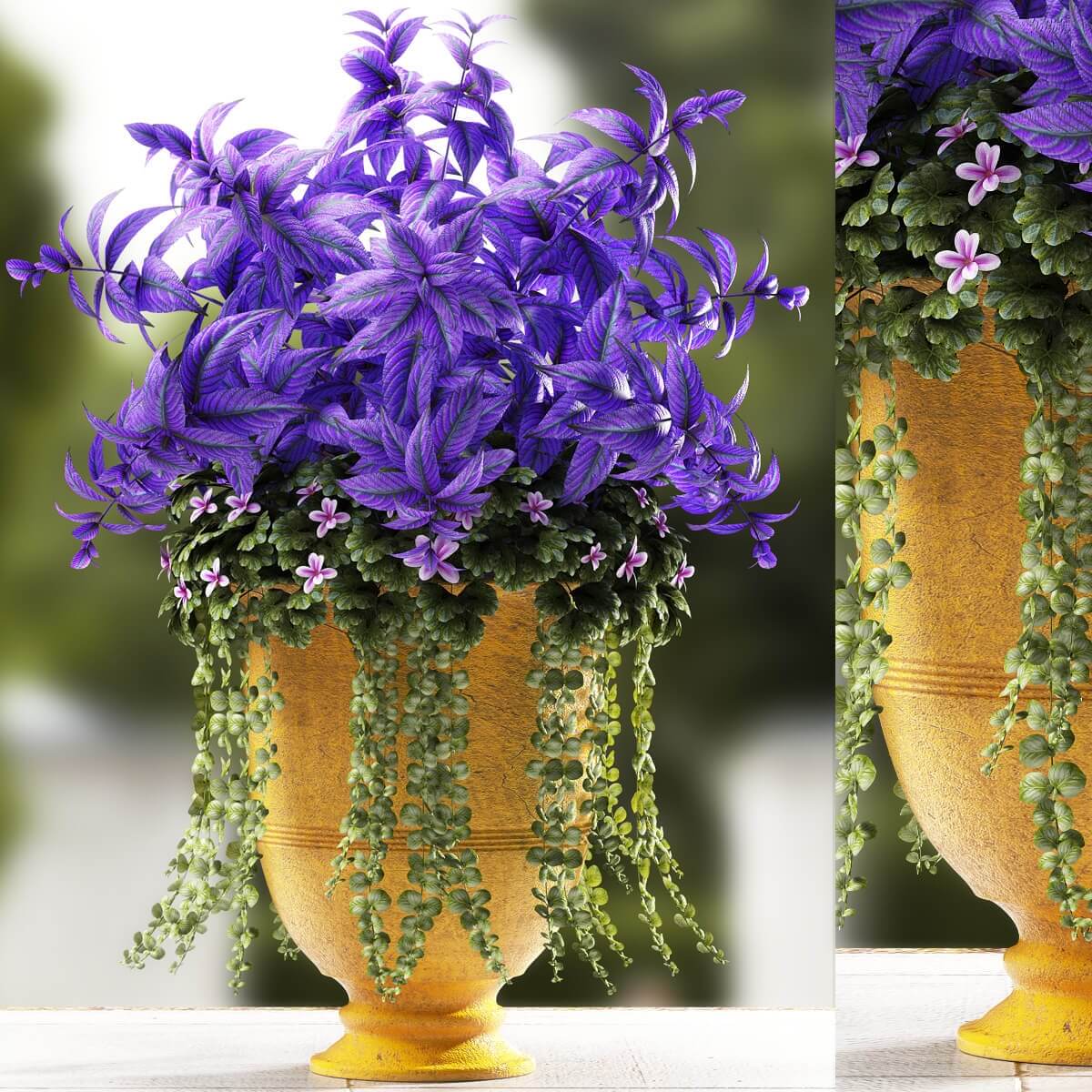 黄色装饰花盆中的紫叶植物盆景3D模型（OBJ,FBX,MAX）