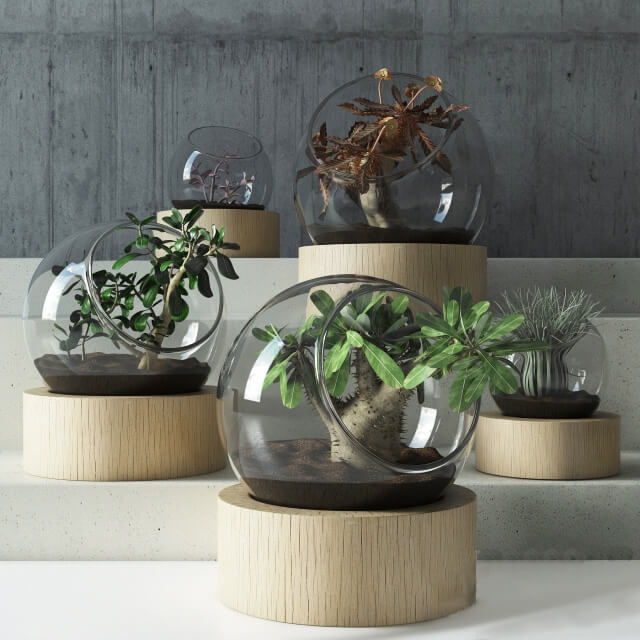 球形装饰玻璃碗中的植物组合3D模型（OBJ,FBX,MAX）