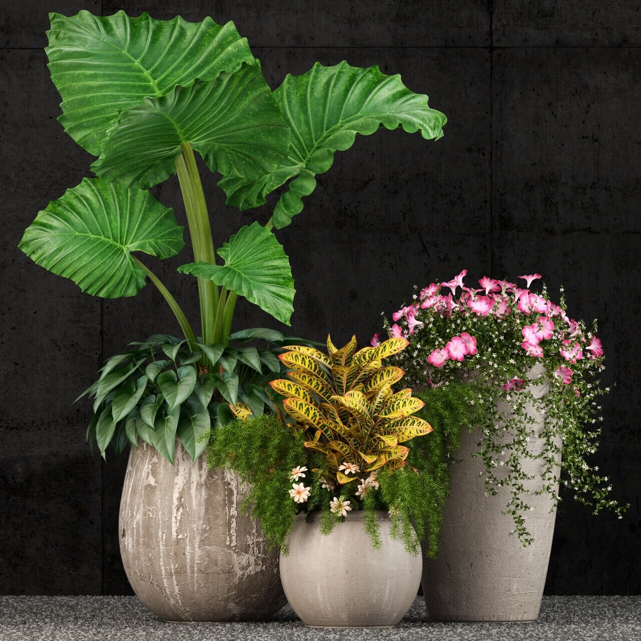 装饰花盆中的姑婆芋变叶木和开粉色花朵的日本玫瑰植物盆景3D模型（OBJ,FBX,MAX）