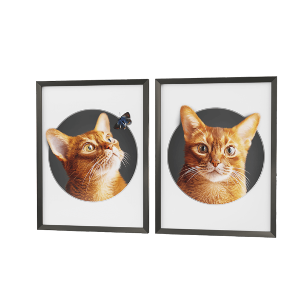 有趣的猫头系列装饰画3D模型（OBJ,FBX,MAX）