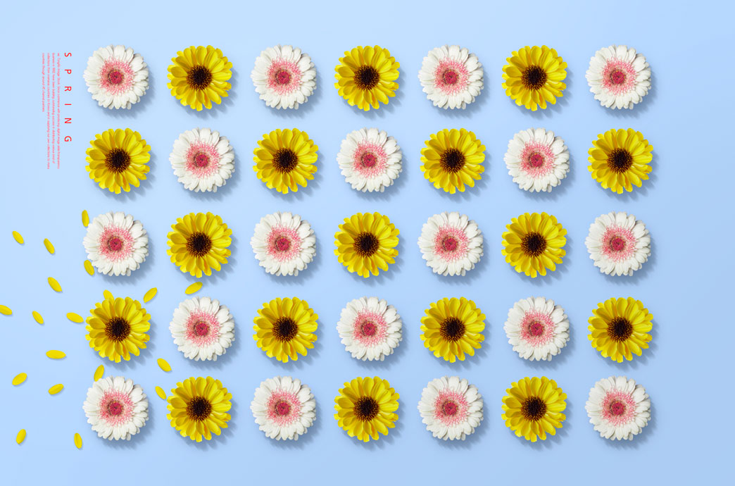 向日葵花朵排列春季图案海报设计素材 (psd)
