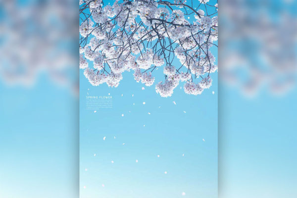 白色樱花蓝天风景手机壁纸背景素材 (psd)