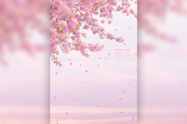 粉色花卉天空背景手机壁纸背景素材 (psd)
