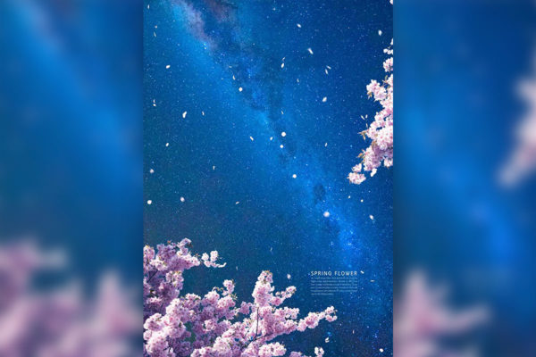 樱花银河星辰手机壁纸背景素材 (psd)