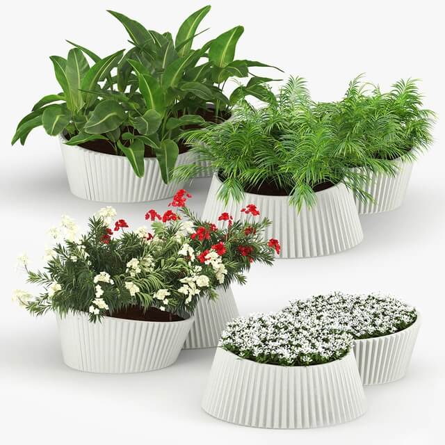 白色现代装饰花盆中的绿植和开花植物盆景3D模型（OBJ,FBX,MAX）