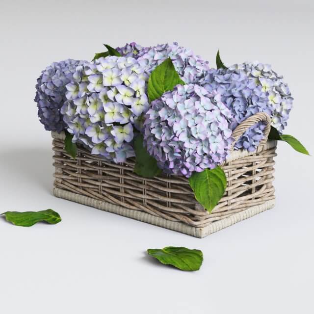 紫色绣球花篮3D模型（OBJ,FBX,MAX）