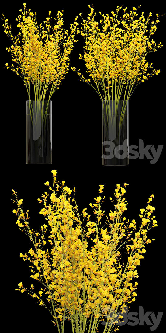 玻璃瓶中的黄色文心兰花束3D模型（OBJ,FBX,MAX）