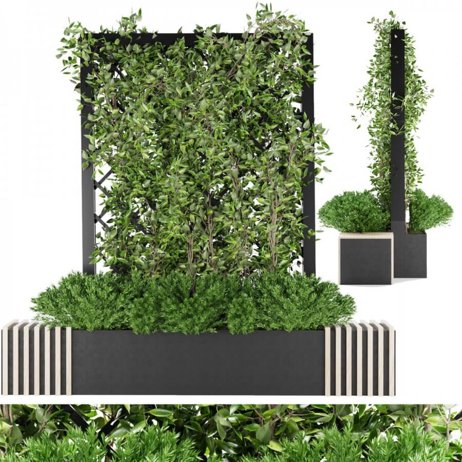 绿植花坛绿植墙3D模型（FBX,MAX）