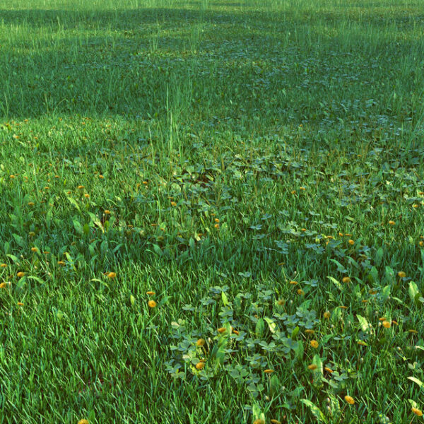 草坪3D模型（FBX,MAX）