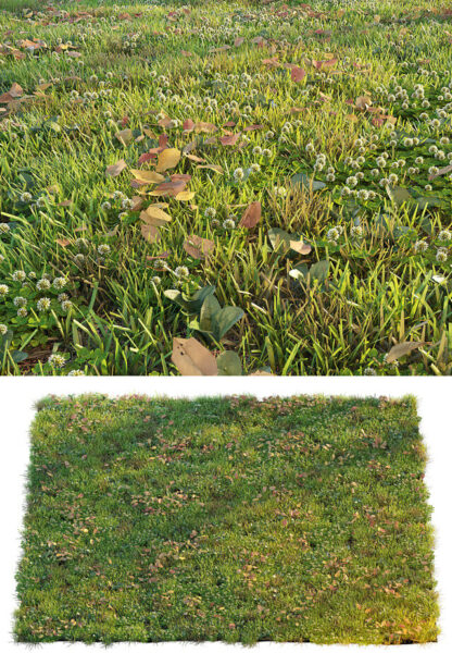 有三叶草和干叶的草坪3D模型（OBJ,MAX）