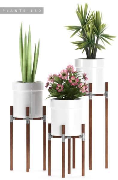 高装饰花盆中的雏菊和芦荟植物盆景组合3D模型（OBJ,FBX,MAX）