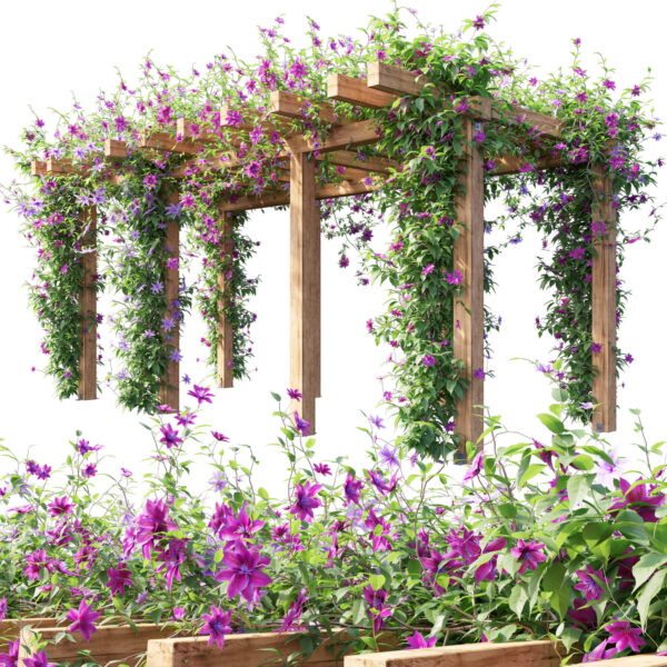 木架上开满紫色花朵的铁线莲爬藤植物3D模型（OBJ,MAX）