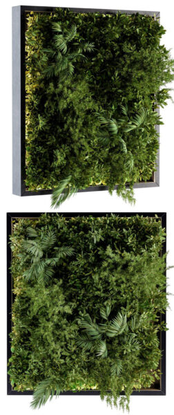 金属框架垂直花园绿植墙3D模型（OBJ,MAX）