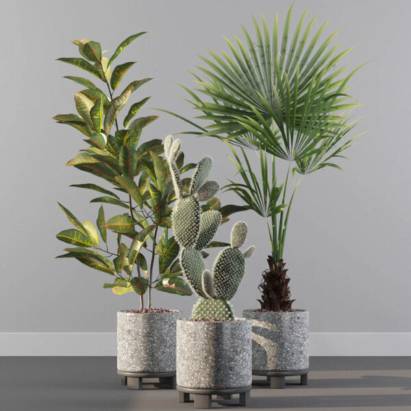 水磨石花盆中的仙人掌等植物盆景组合3D模型（OBJ,FBX,MAX）