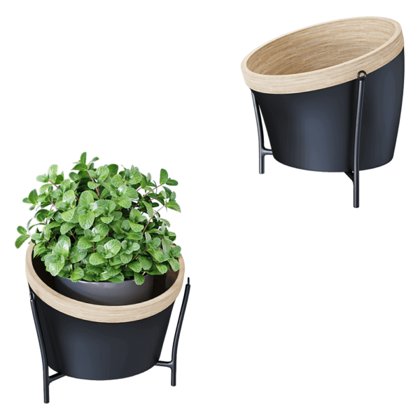 Montly装饰花盆3D模型（OBJ,FBX,MAX）