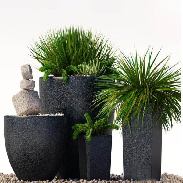 黑色装饰花盆中的绿植盆景组合3D模型（OBJ,FBX,MAX）