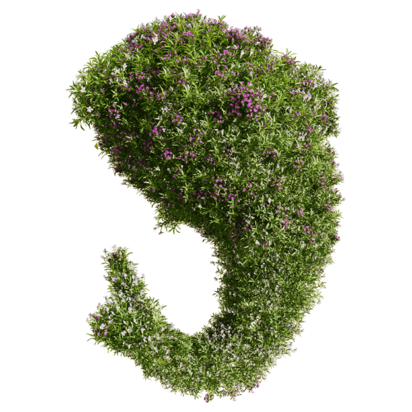 开满花朵的鲸鱼形Viola三色堇植物景观3D模型（OBJ,FBX,MAX）