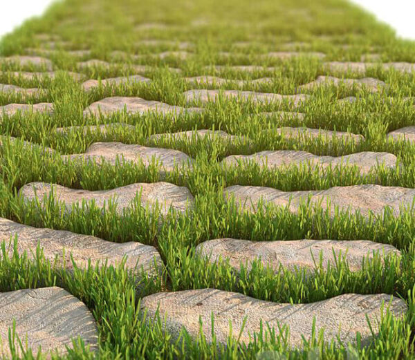 带绿草的装饰石头路3D模型（MAX）