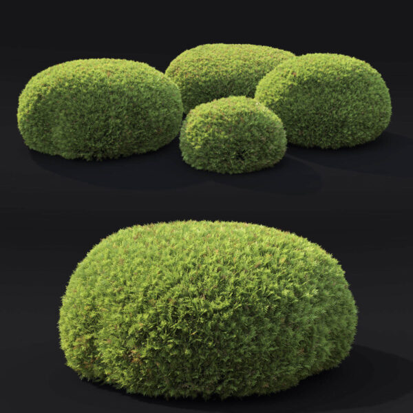 4丛圆柏灌木3D模型（FBX,MAX）