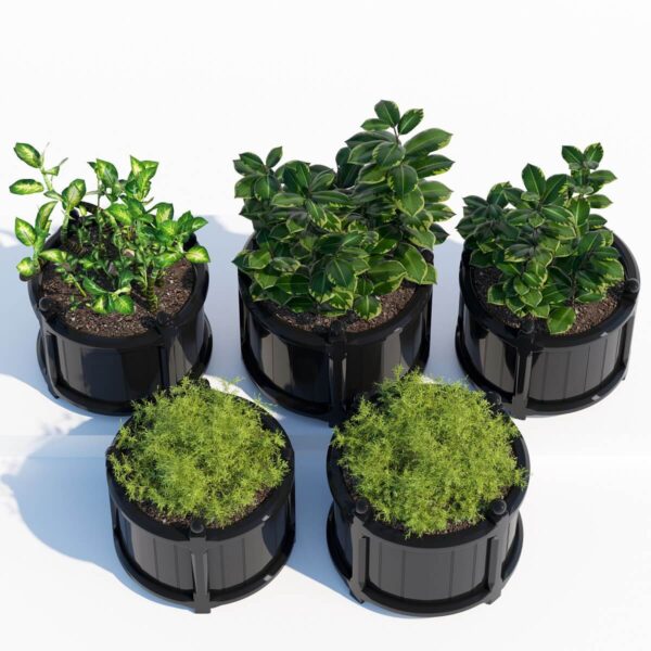 圆形花盆中的天门冬草 花叶万年青等绿植盆景组合3D模型（OBJ,MAX）