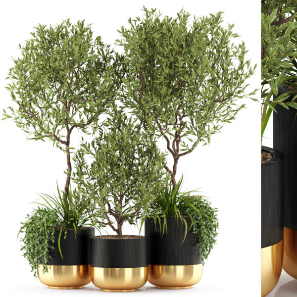 装饰花盆中的绿植盆景组合3D模型（FBX,MAX）