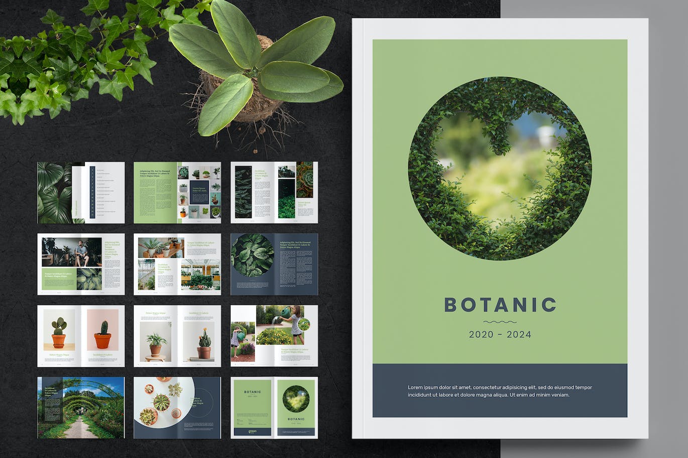 植物种类杂志画册模板 (INDD,PDF)