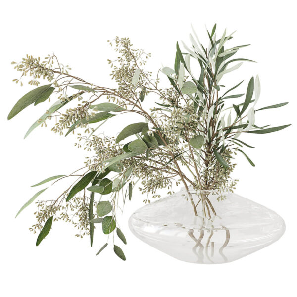 玻璃瓶中的桉树花束和橄榄树枝3D模型（MAX）