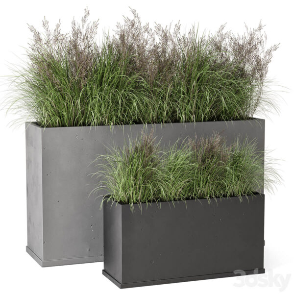 户外观赏草植物花坛3D模型（FBX,MAX）
