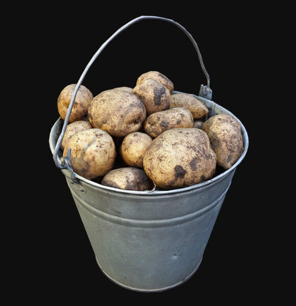 一桶土豆3D模型（OBJ,FBX）