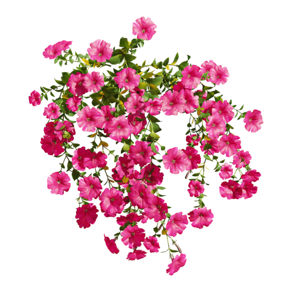 开粉色花朵的矮牵牛植物3D模型（OBJ,FBX,MAX）