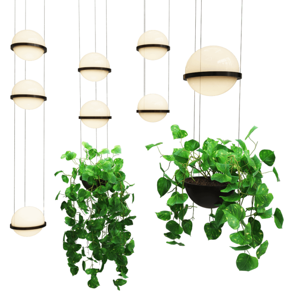 Vibia Palma带绿植的吊灯3D模型（OBJ,FBX,MAX）