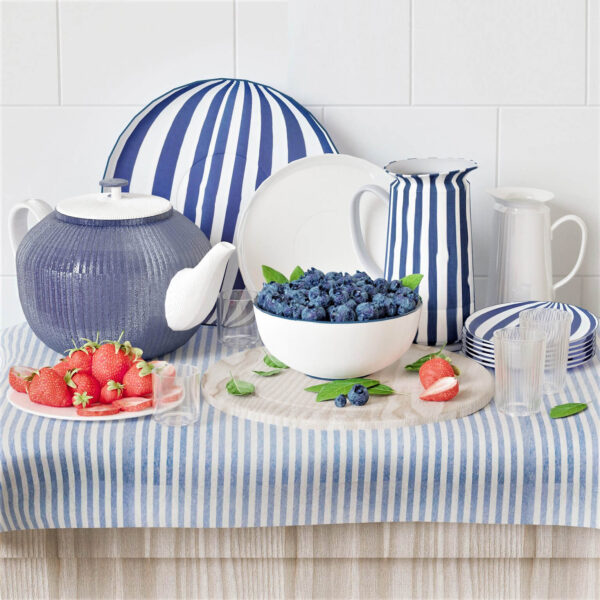 蓝莓 草莓和条纹盘 水壶等水果及餐具组合3D模型（FBX,MAX）