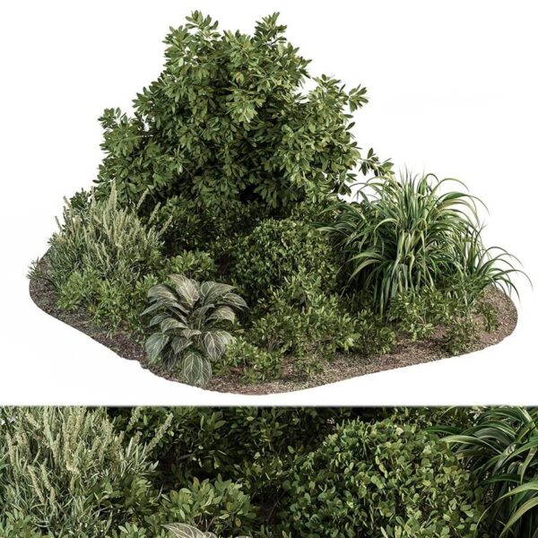 公园户外绿色植物组合景观3D模型（OBJ,MAX）