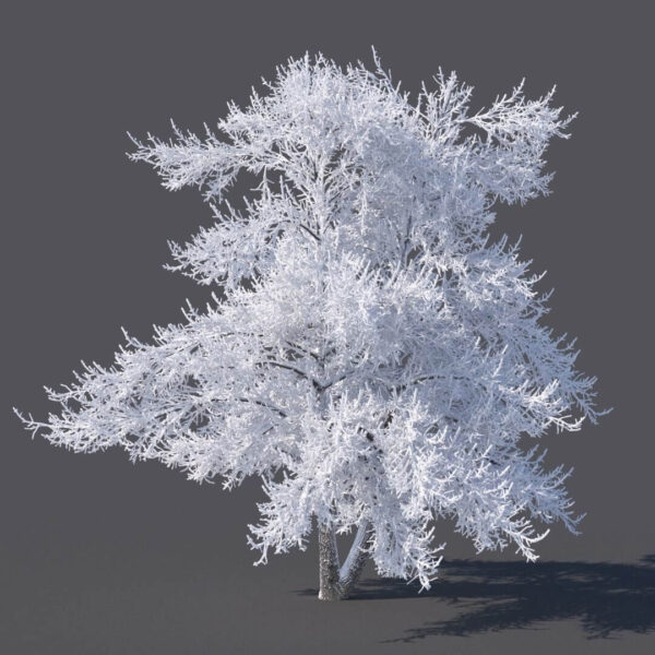 冬天被雪覆盖的树3D模型（FBX,MAX）