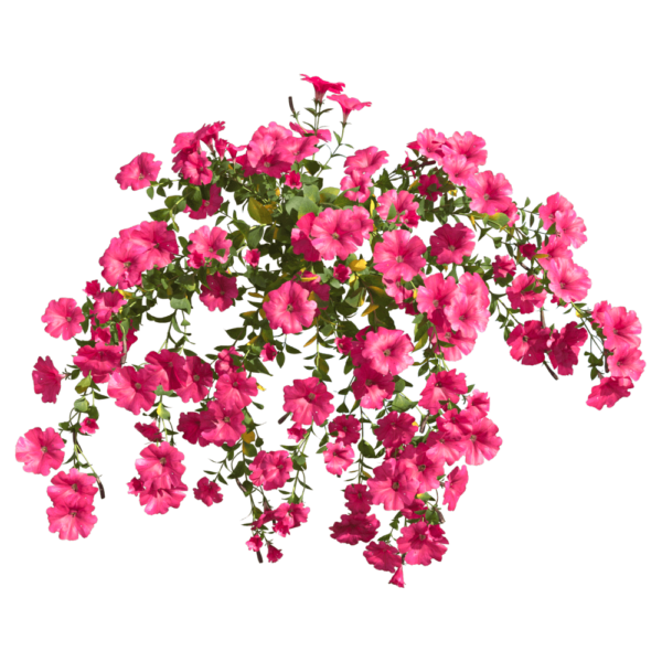 玫红色矮牵牛花丛3D模型（OBJ,FBX,MAX）